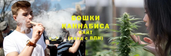 шишки Бородино