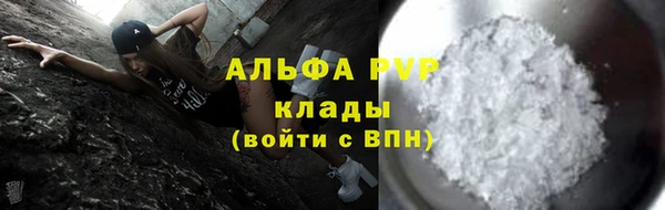 шишки Бородино