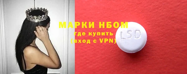 прущие грибы Бронницы