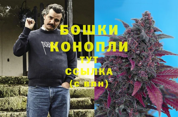 шишки Бородино
