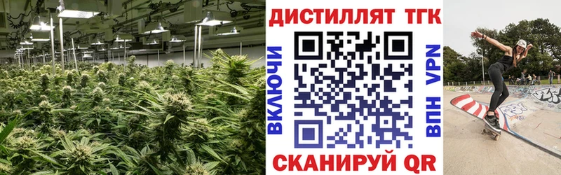 Дистиллят ТГК Wax Купить Надым