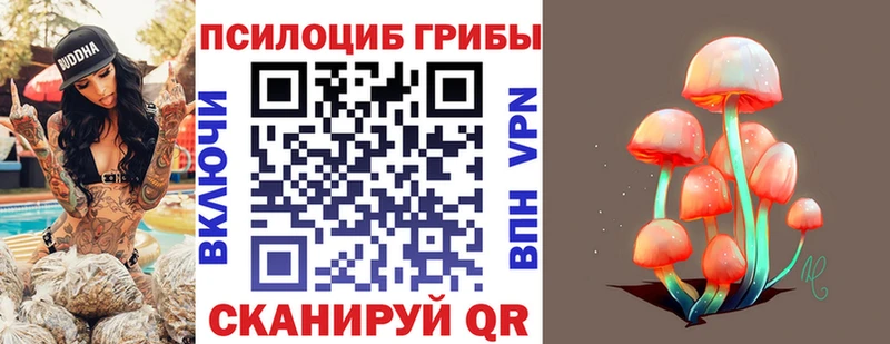 Псилоцибиновые грибы Cubensis  Купить закладки  Надым 